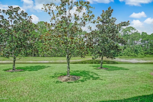 109 Laurel Wood Way Unit 103, Saint Augustine, FL 32086 - photo 38
