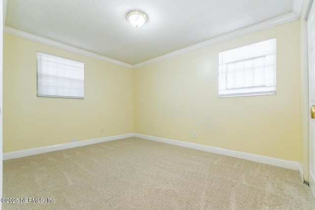 empty room featuring light carpet and ornamental molding