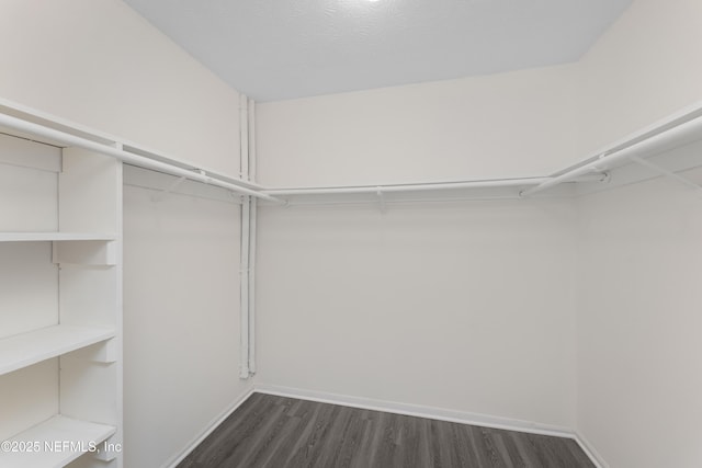 spacious closet featuring dark hardwood / wood-style flooring