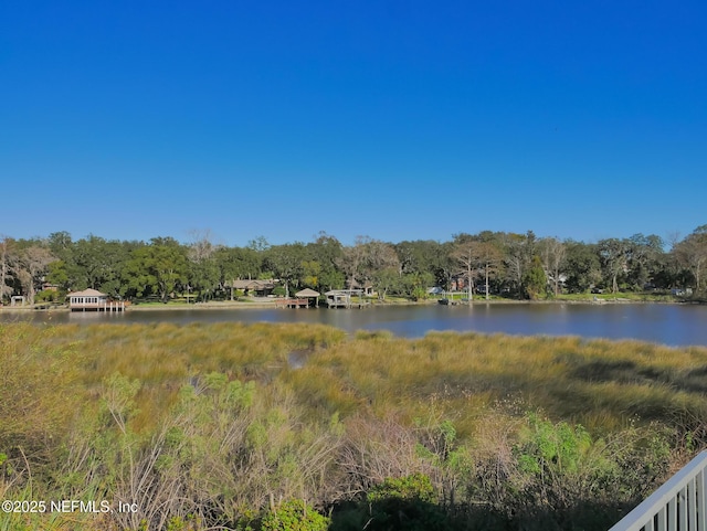 property view of water