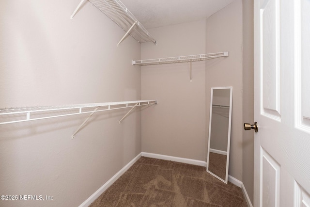 spacious closet featuring dark colored carpet