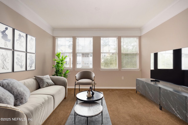 living room with crown molding and carpet floors