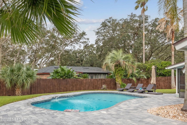 view of pool with a patio