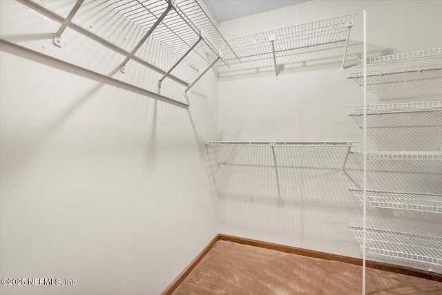 spacious closet featuring carpet flooring