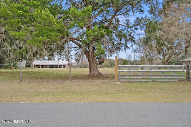 view of yard featuring a rural view