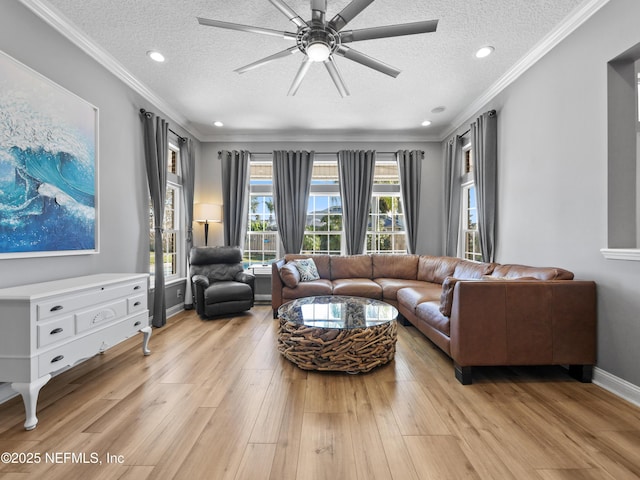 living room with ornamental molding, a textured ceiling, and light wood-type flooring