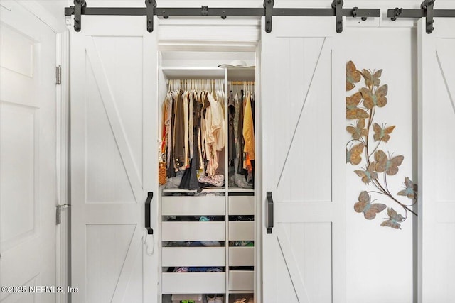 view of closet