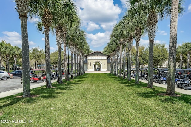 view of community with a lawn