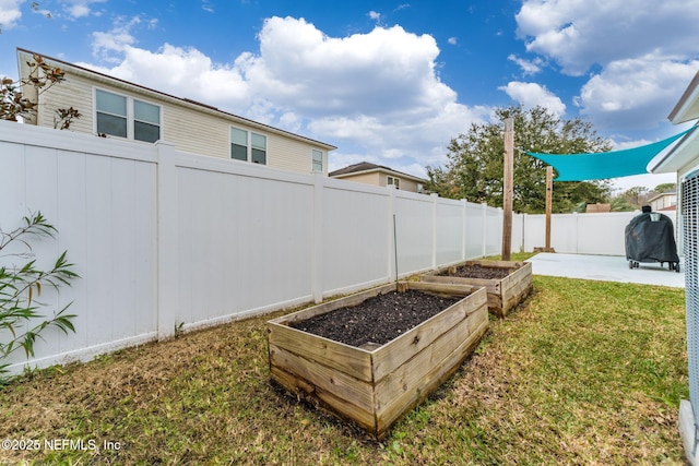 view of yard featuring a patio