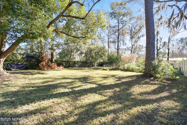 view of yard