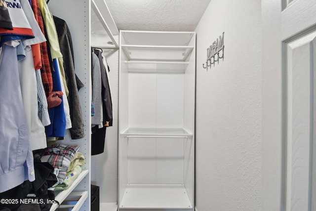 view of walk in closet