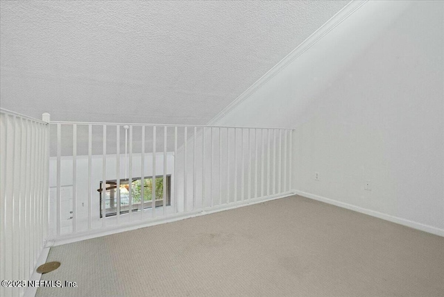 additional living space with a textured ceiling and carpet