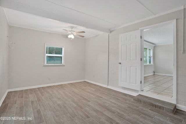 empty room featuring ceiling fan and light hardwood / wood-style flooring