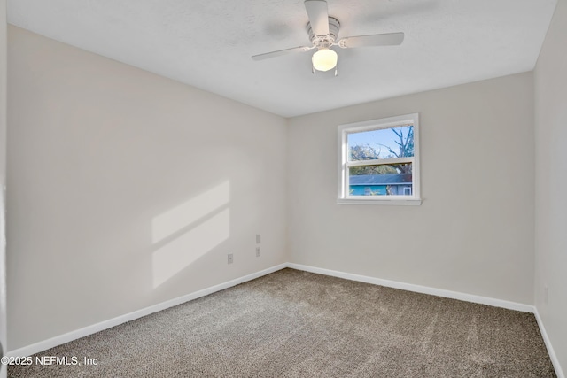 empty room featuring ceiling fan and carpet floors