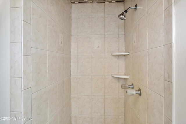 room details featuring tiled shower