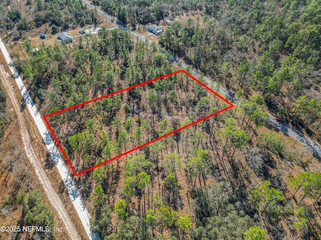 TBD SE 130th Ave, Dunnellon FL, 34431 land for sale