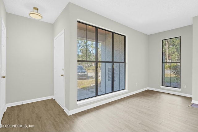 spare room featuring a wealth of natural light and light wood-type flooring