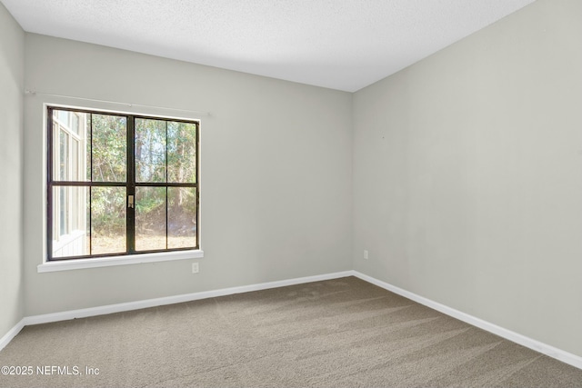 spare room featuring a textured ceiling and carpet floors