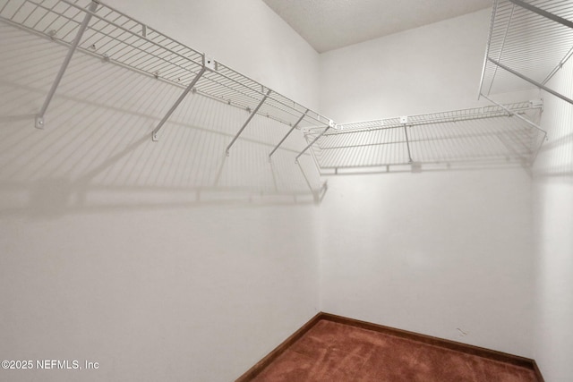 spacious closet featuring dark carpet