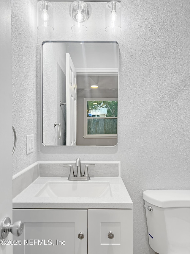 bathroom with toilet and vanity