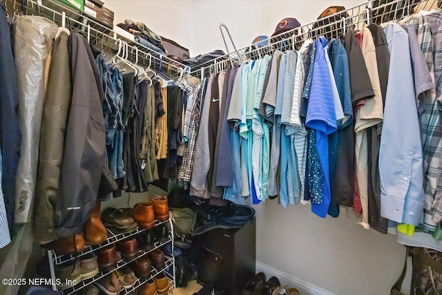 view of walk in closet