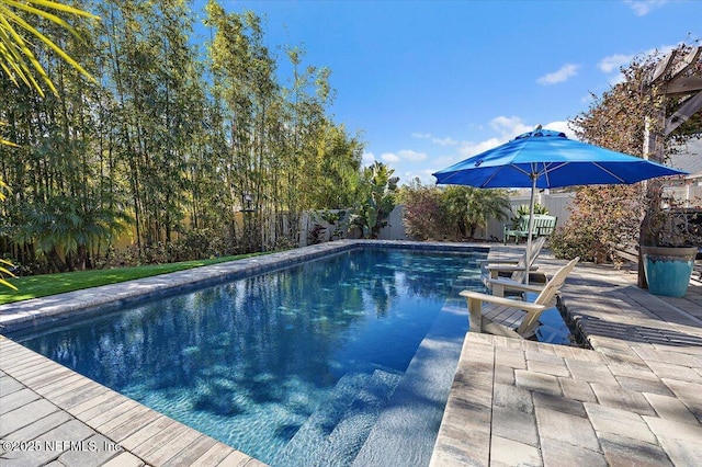 view of pool with a patio area