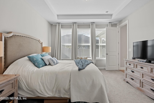 carpeted bedroom featuring a raised ceiling