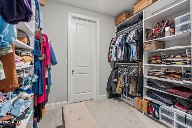 walk in closet featuring light colored carpet