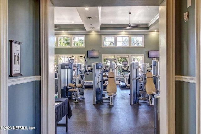 workout area with ornamental molding and a high ceiling