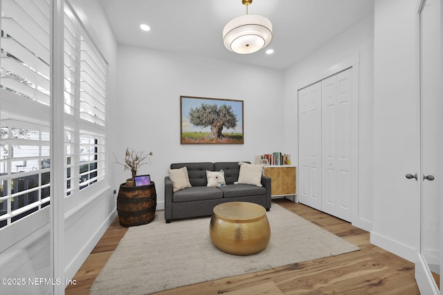 living room featuring a wealth of natural light and hardwood / wood-style floors