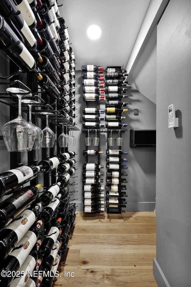 wine area with wood-type flooring