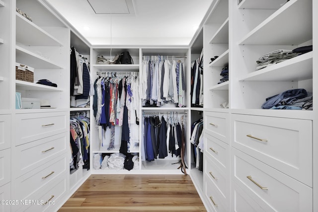 walk in closet featuring light wood-type flooring