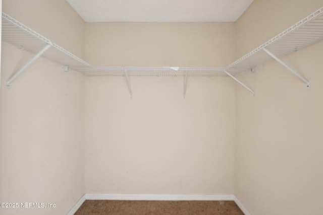 walk in closet featuring carpet