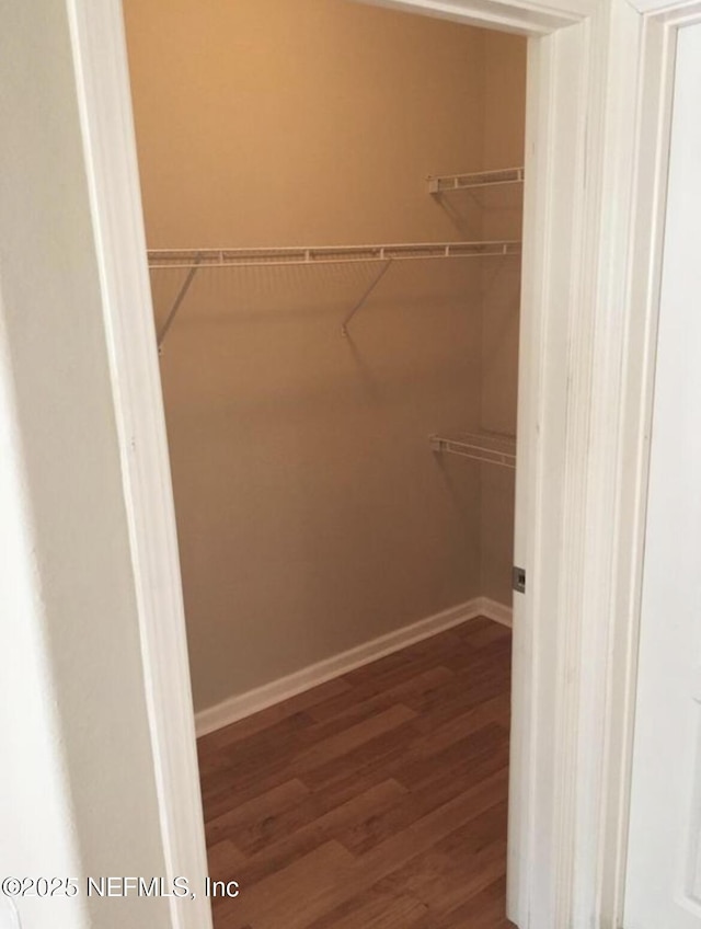 walk in closet with hardwood / wood-style flooring