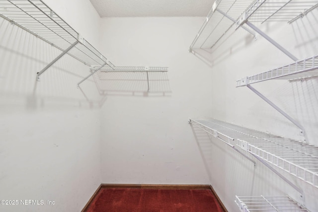 spacious closet with carpet flooring