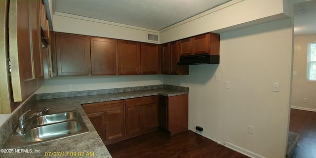 kitchen with dark wood-type flooring, sink, and crown molding