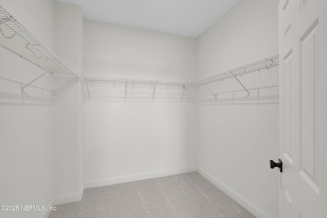 149 Thatcham Dr, Saint Augustine, FL 32092 - photo 36