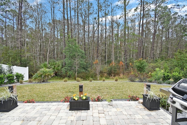 view of patio / terrace with a grill