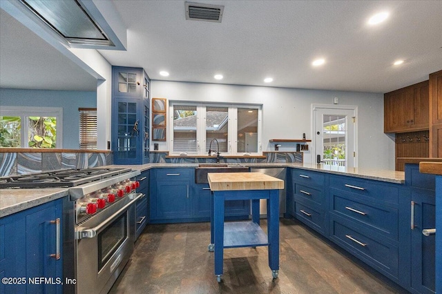 kitchen featuring appliances with stainless steel finishes, blue cabinetry, and a wealth of natural light