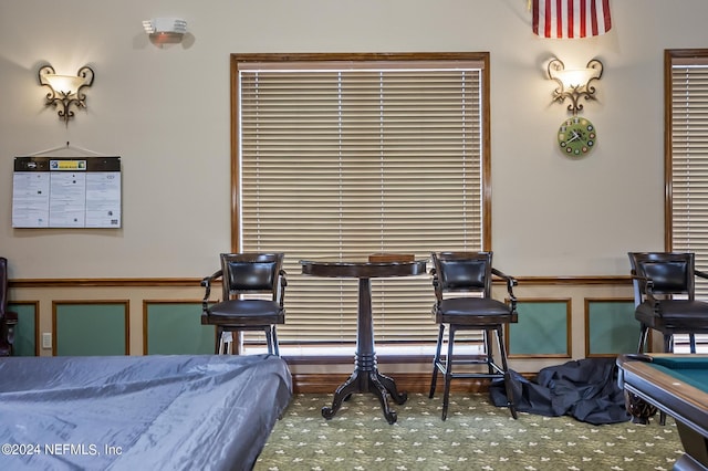 carpeted bedroom with billiards