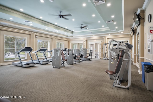 exercise room with ceiling fan, carpet, a tray ceiling, and ornamental molding