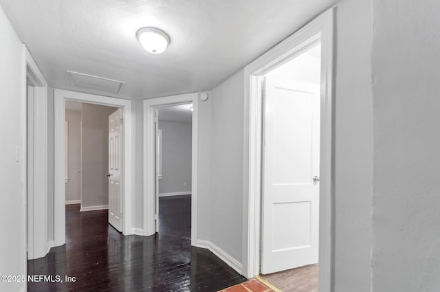 hallway featuring dark wood-type flooring