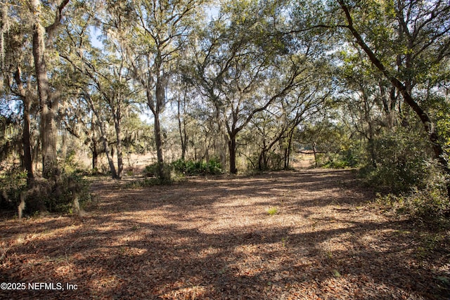 0000 Blazing Star, Melrose FL, 32666 land for sale