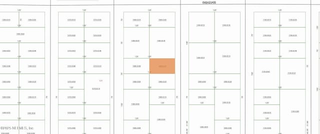 000000 Neilsen Ave, Interlachen FL, 32148 land for sale