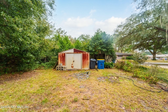 view of yard featuring a storage unit