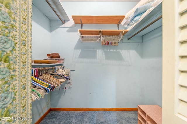 spacious closet with carpet