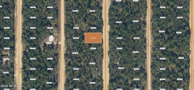 0000000 Neilsen Ave, Interlachen FL, 32148 land for sale