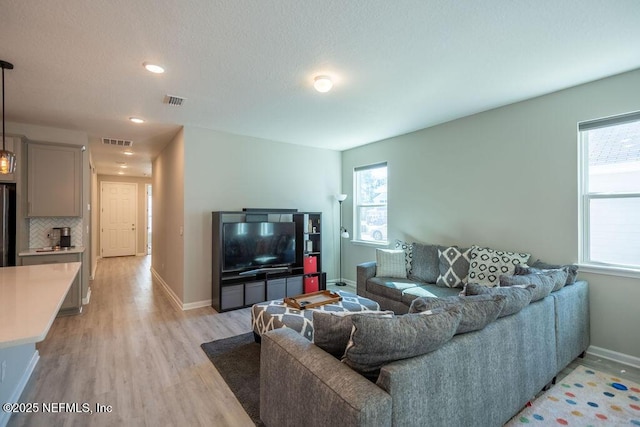 living room featuring light hardwood / wood-style flooring