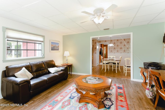 living room with ceiling fan, light hardwood / wood-style floors, and a drop ceiling