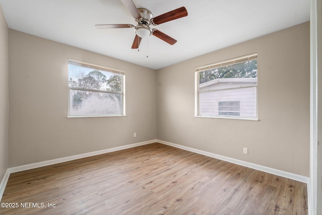 spare room with a wealth of natural light, light hardwood / wood-style floors, and ceiling fan